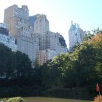 Sunday: New York’s Best Kept Secret