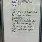 Gangs Of Mice Attack Tube Travelers In London