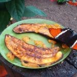 Quito: More Than Just a Gateway to the Galapagos