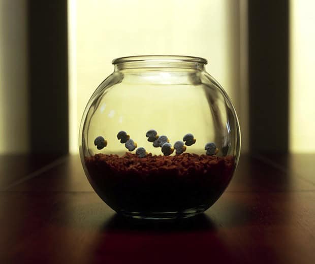 cerealism-08 cereal
