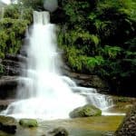 Islands Of Adventure: Jungle Trekking On Okinawa’s Iriomote Island In Japan