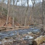 A Walk In The Woods: Hiking Mount Tammany At The Delaware Water Gap In Winter