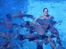 Swimming with Nurse Sharks at Compass Cay
