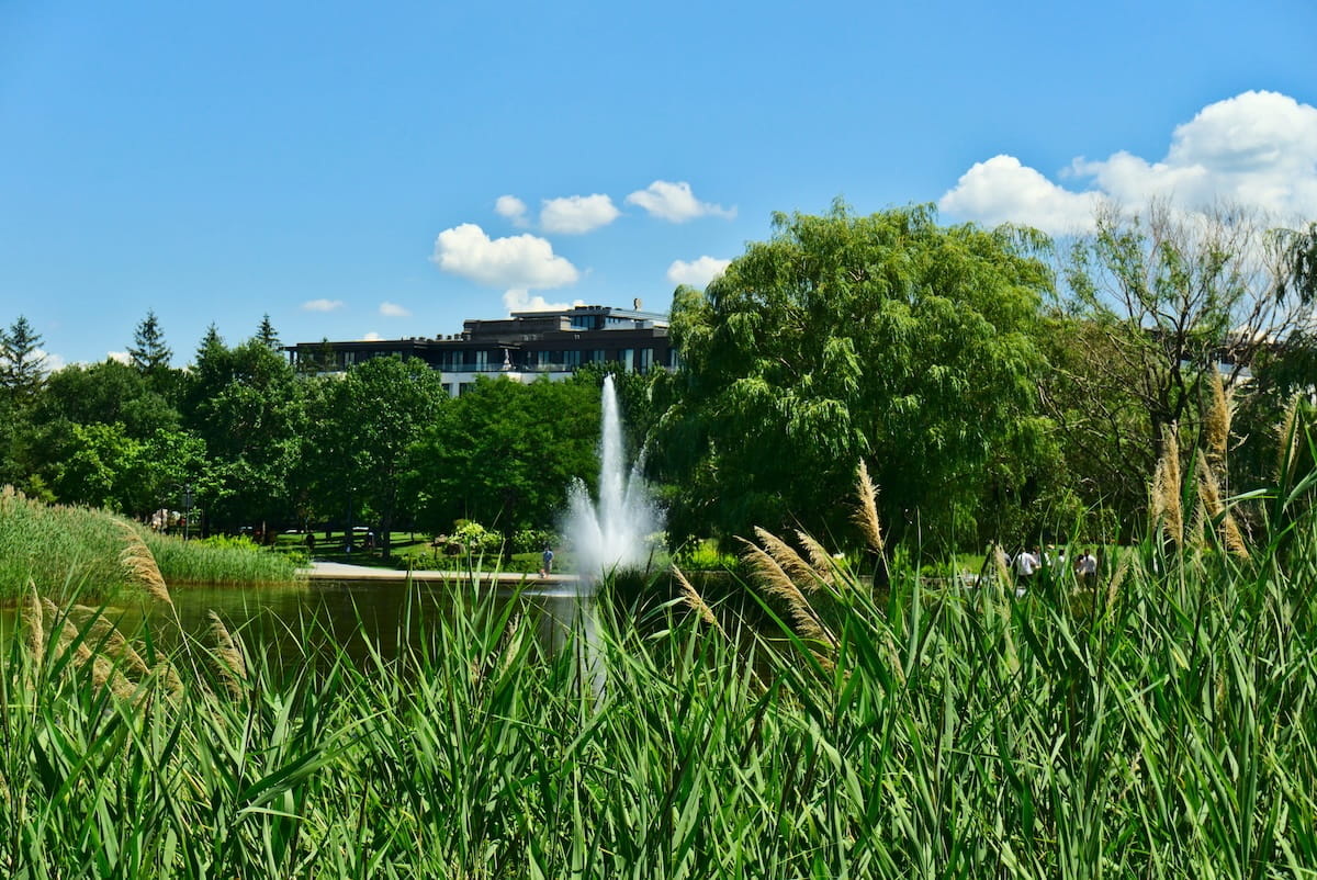 A lake with a fountain with grass and trees on a spring sunny day with a clear blue sky in Jarry Park, Montreal, Quebec, Canada