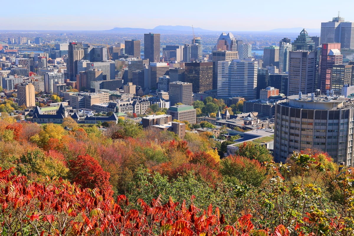 view over Montreal's cityscape from Mount Royal with mountains in the distance