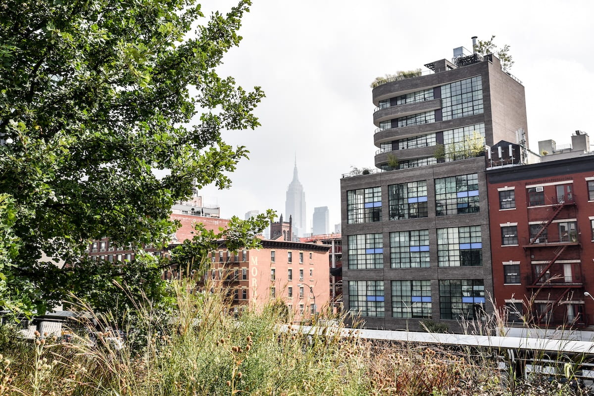 A scenic view from the High Line in NYC looking north toward the Empire State Building, framed by lush green trees, wildflowers, and modern West Chelsea architecture.