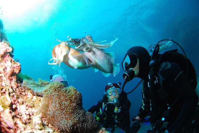 deep sea diving 