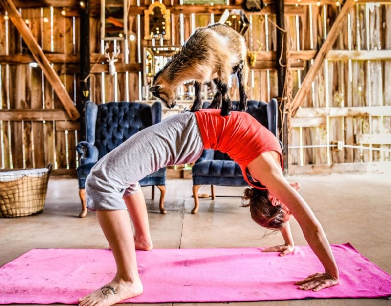 Top 10 Yoga Retreats in New York
