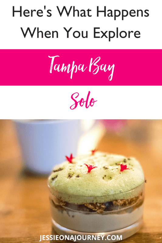 Looking for a Tampa itinerary for solo travelers? In this Tampa travel guide, I'll be sharing solo female travel tips, as well as what makes Tampa, Florida one of the best places to travel solo. The guide includes free things to do in Tampa, Tampa outdoor experiences and more!" #VisitTampa #travelitineraries #tampa #travelitinerary #usatravel