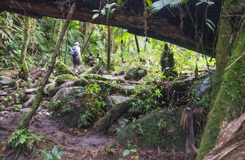 lost waterfalls hike in boquete, panama 