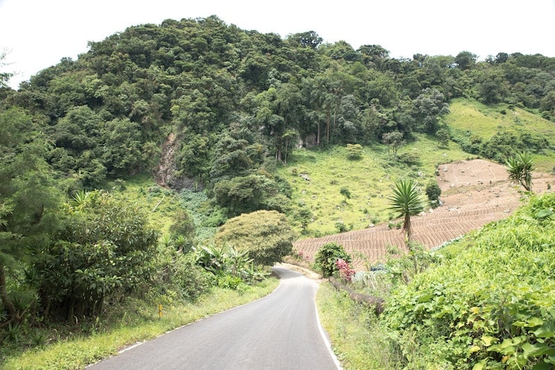 boquete landscape panama