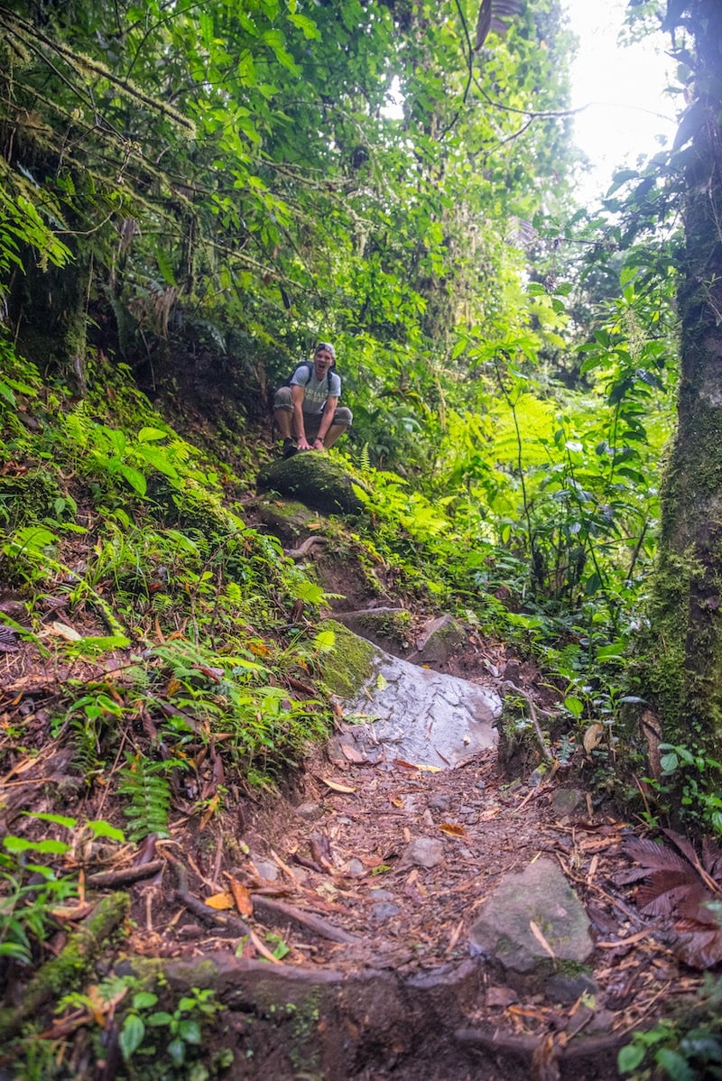 hiking in panama lost waterfalls hike
