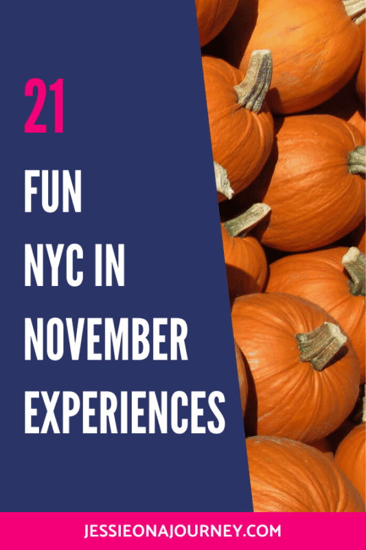 21 Fun NYC in November Experiences