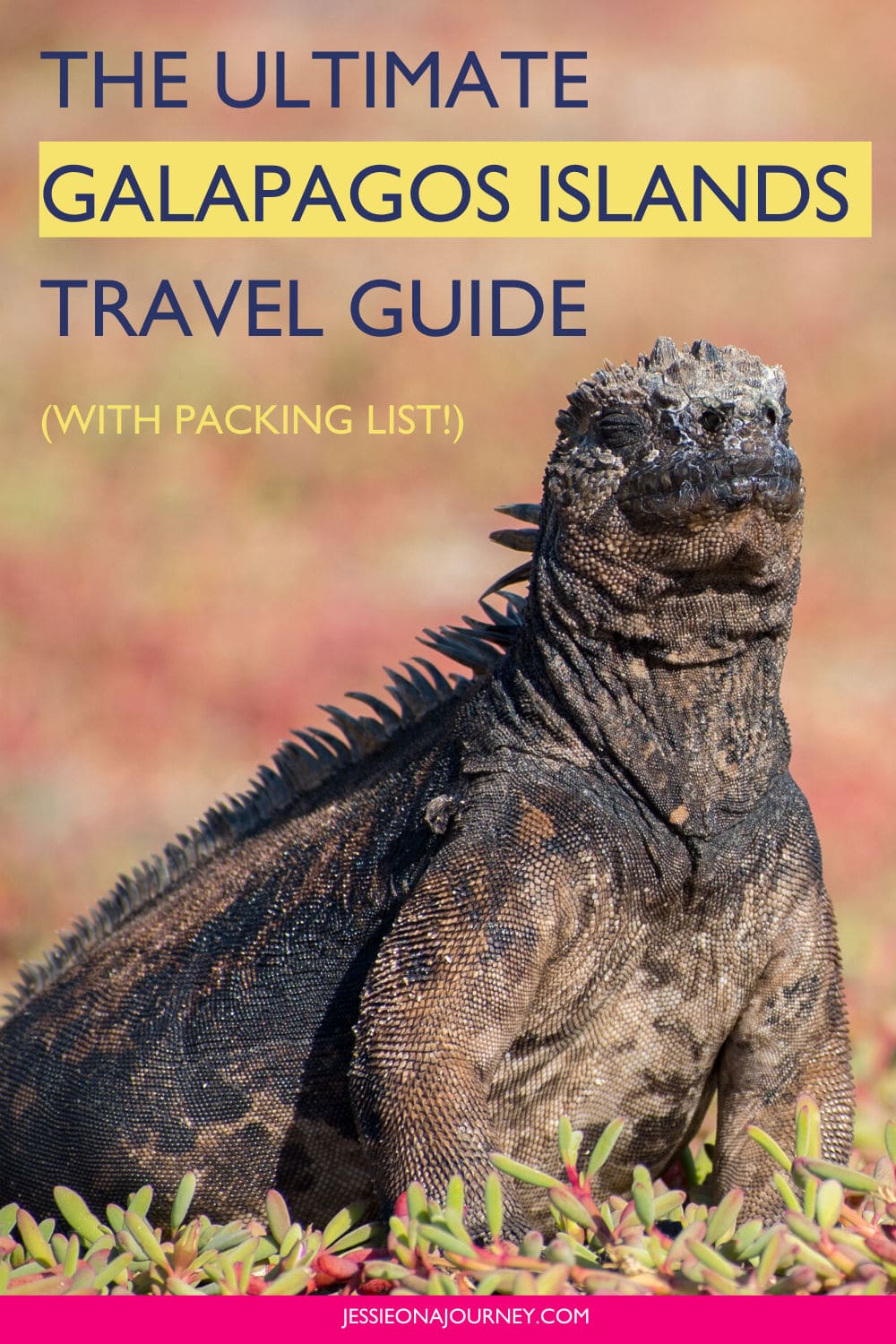 The Ultimate Galapagos Islands Travel Guide