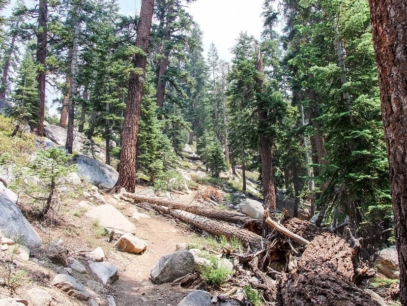 Hiking The Lakes Trail In Sequoia National Park