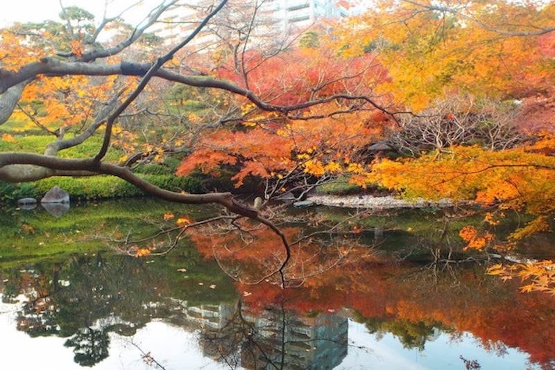 Asia travel Japan tour through Tokyo gardens