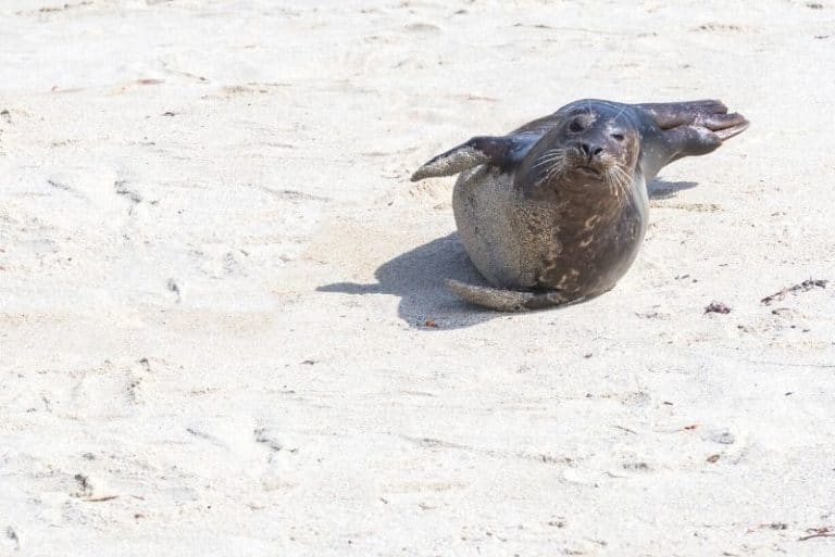 27 Best Places To Hike On Long Island & LI Trails (With Maps!)