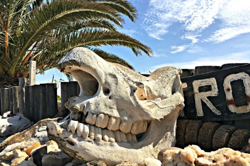 Skeleton Coast skull, one of the tourist attractions in Africa