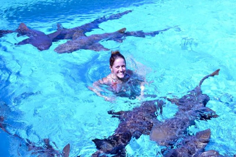 swimming with nurse sharks - exuma travel guide