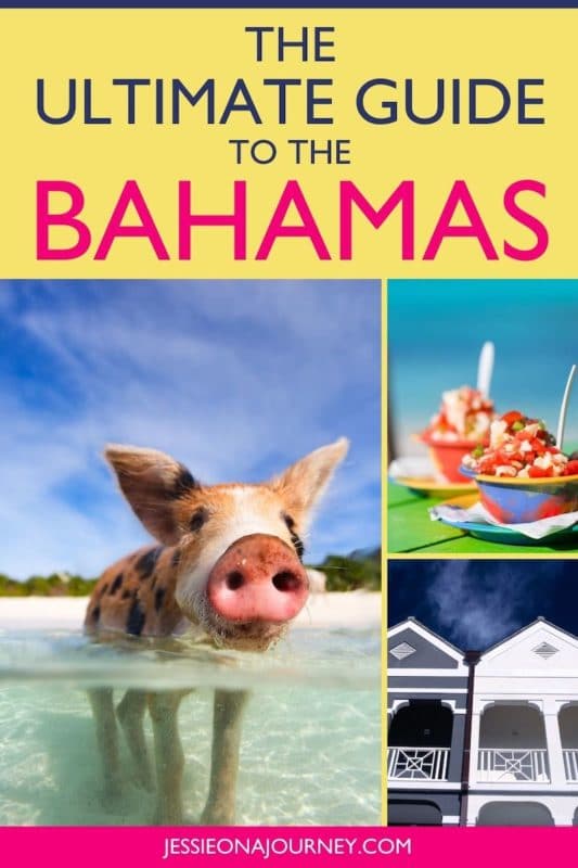 bahamas tour guide