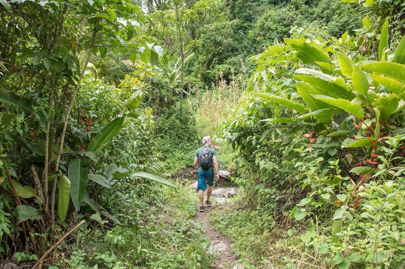 hiking in Boquete is one of the top things to do in Panama, Central America
