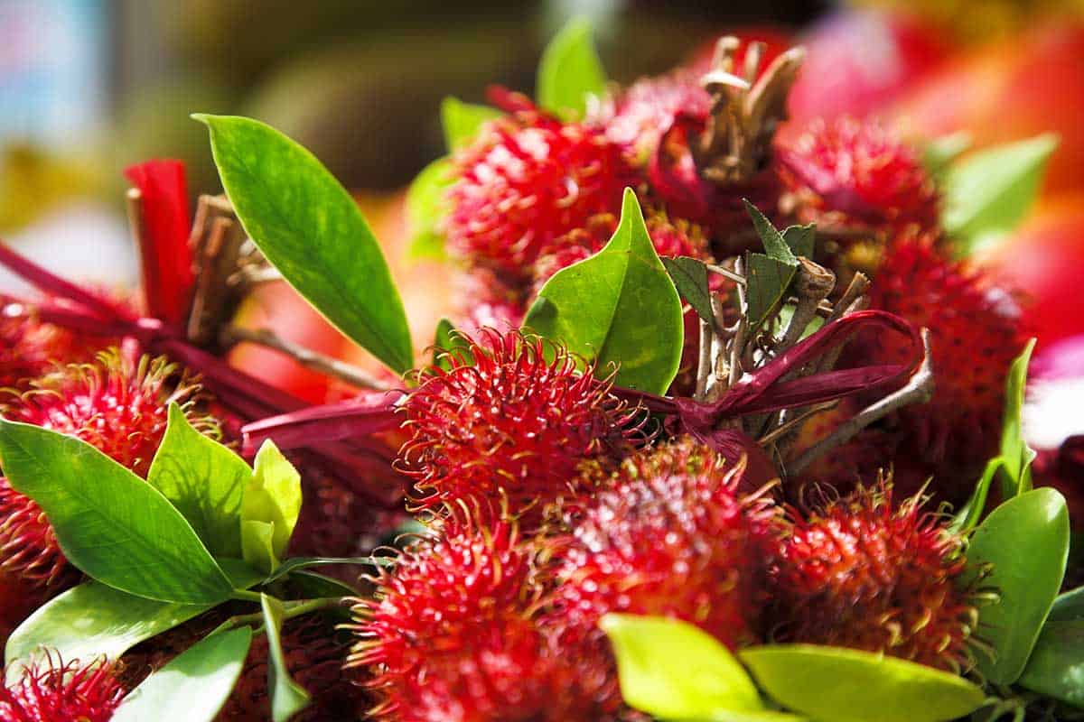Close up photo of rambutans.