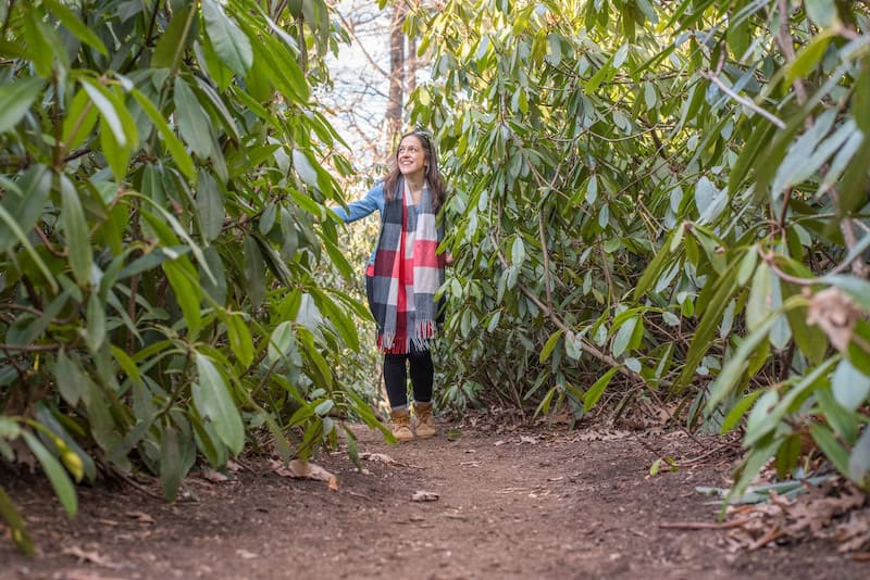 The New York Botanical Garden is one of the top Instagrammable museums in NYC