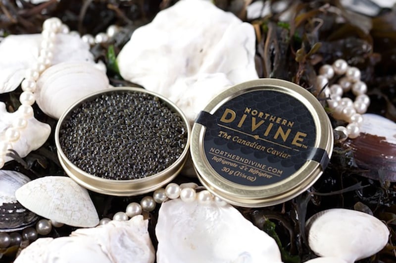 Trying organic caviar while traveling Canada