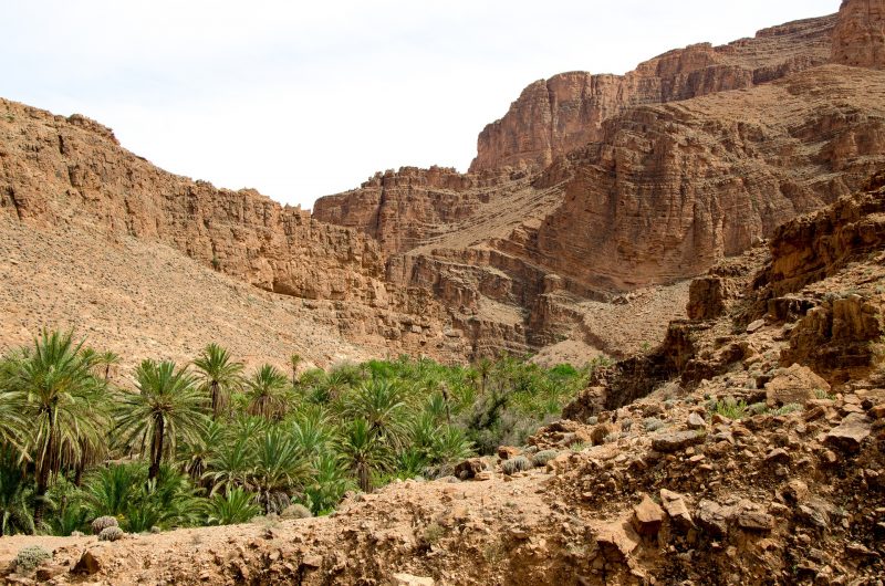 Your solo female travel in Israel itinerary should include the Negev Desert