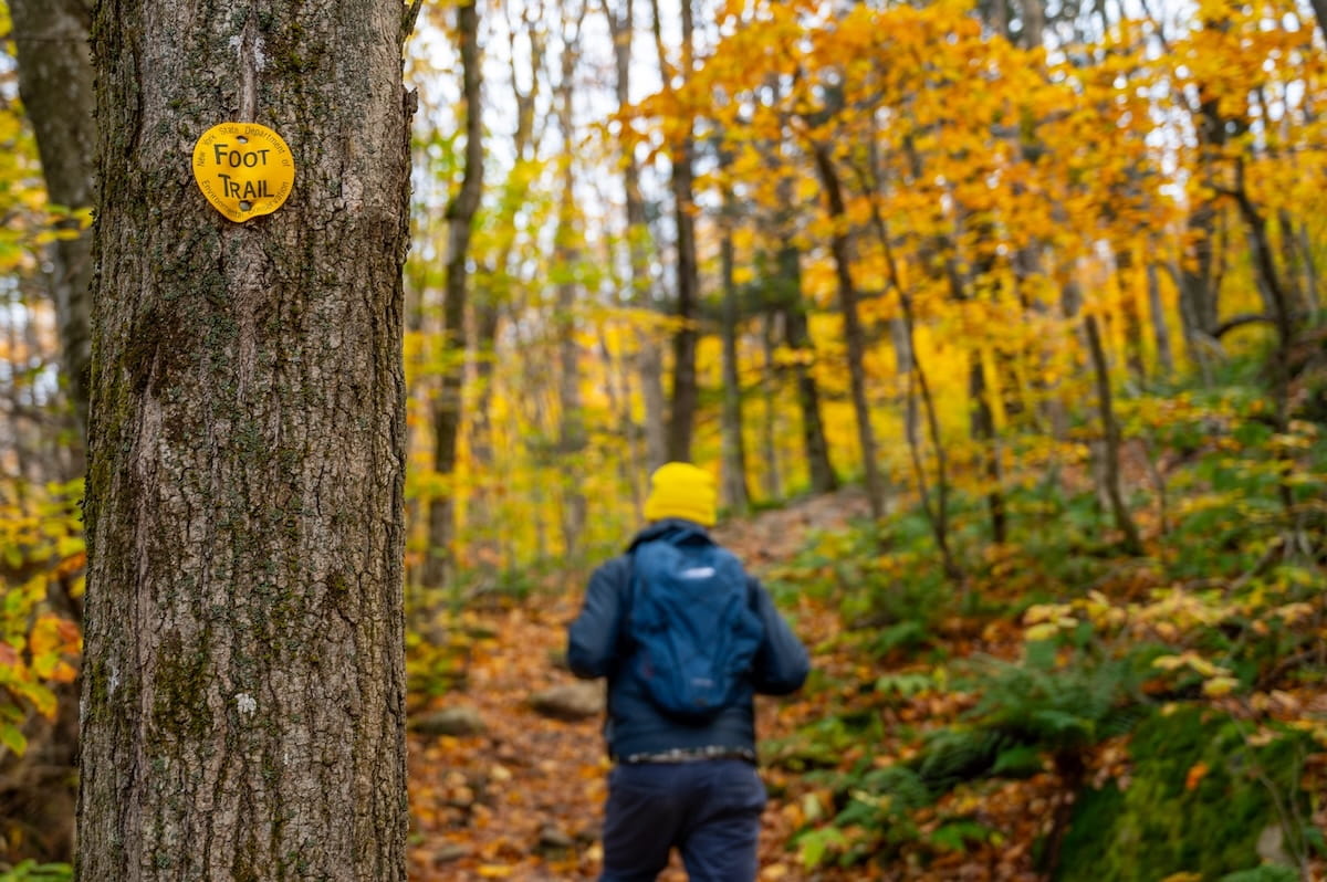A close-up shot focused on a textured tree trunk in the left foreground featuring a yellow circular "FOOT TRAIL" marker from the New York State Department of Environmental Conservation. In the softly blurred background, a hiker wearing a bright yellow beanie, dark jacket, and blue backpack walks up a forest trail lined with vibrant yellow fall foliage and scattered fallen autumn leaves.