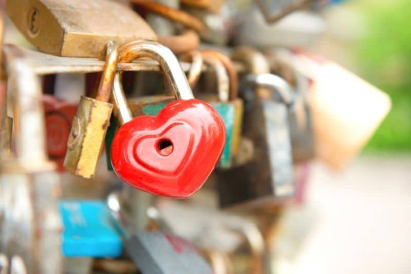 seeing love locks on a trip to the United States