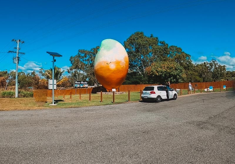 Giant Bowen Mango, Queensland - Brisbane to Cairns road trip itinerary