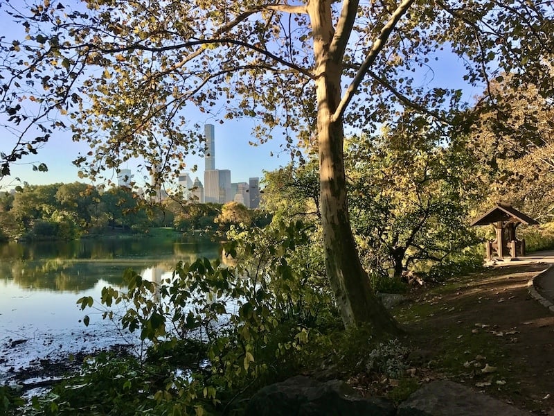 26 Fun Things To Do On The Upper West Side NYC