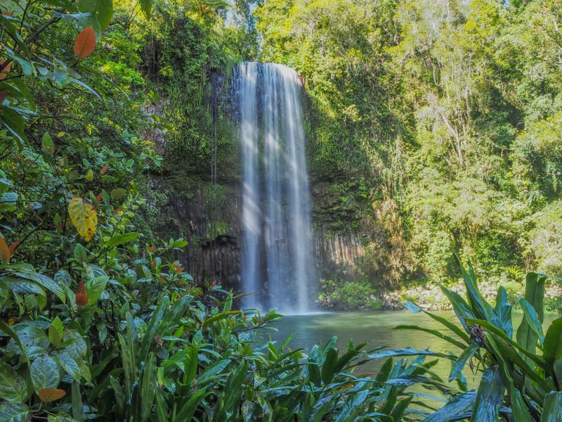 Millaa Millaa Falls, Waterfall Circuit, North Queensland - Brisbane to Cairns road trip itinerary