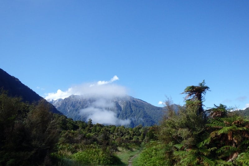 Hiking the Copland Track to Welcome Flat Hut during New Zealand travel