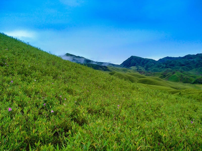 real life adventure stories in India on hiking without a guide to Dzukou Valley of Nagaland 