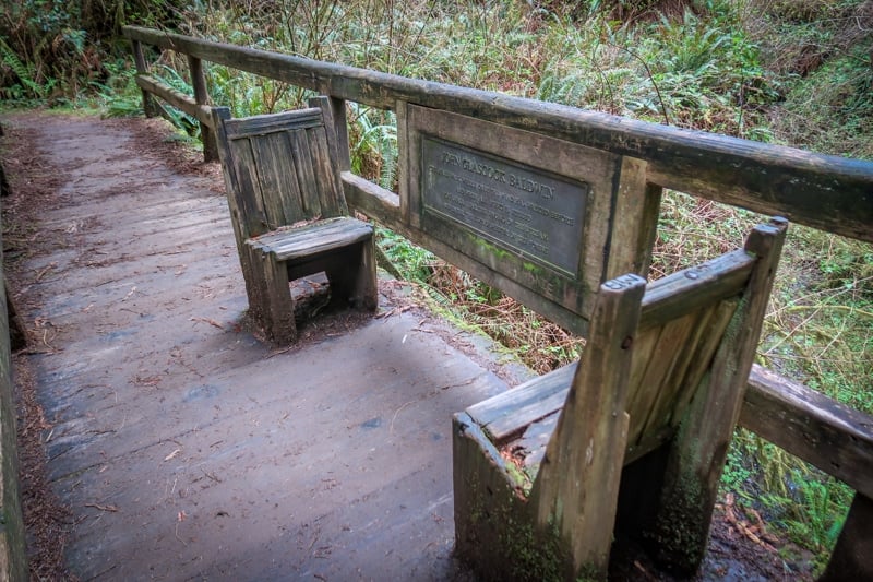 Two bench seats are located in the middle of a wooden bridge spanning the James Irvine Trail to Fern Canyon