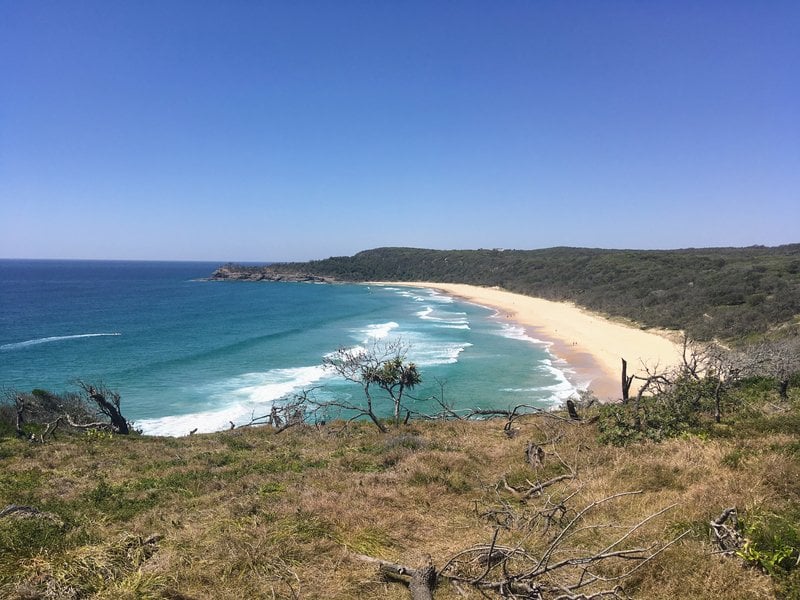 Noosa Coastal Path is one of the best hikes in Queensland