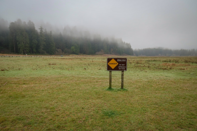 Field near the  Prairie Creek Visitor Center shrouded in mist with a sign that reads: "DANGER: Wild Elk. Do not approach on foot."