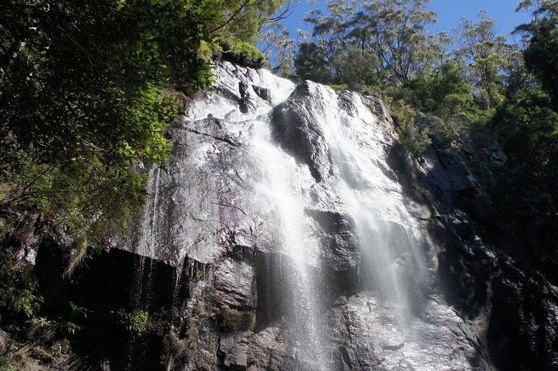 Purling Brook Falls in Springbrook National Park is one of the best hikes in south east Queensland, Australia