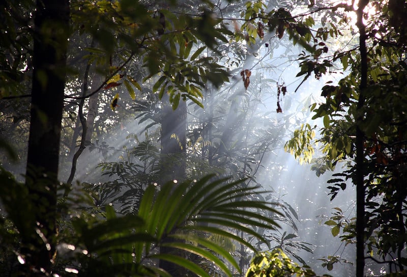 Colombia travel in the Amazon Jungle