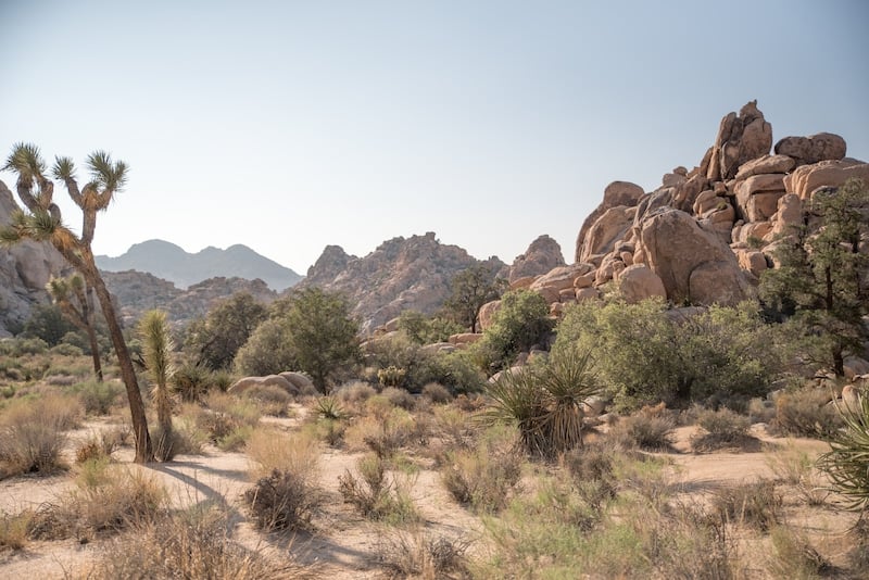 A final gorgeous view along the Hidden Valley Nature Trail in Joshua Tree National Park
