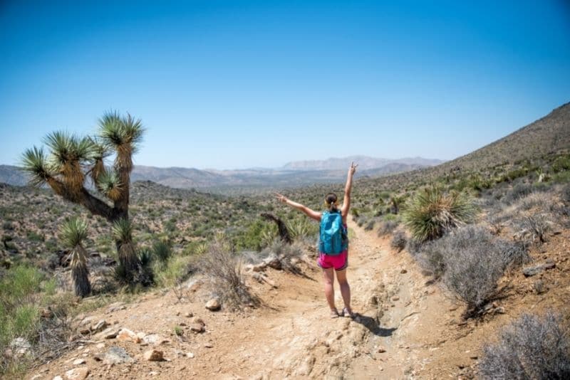 Hiking the Lost Horse Mine Trail in Joshua Tree National Park
