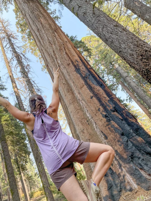 Add hiking and yoga to your itinerary for one day in Sequoia National Park