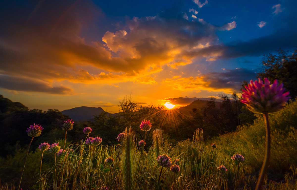 A beautiful sunset in Sequoia National Park.