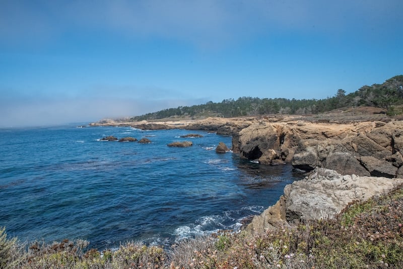 Add Point Lobos State Natural Reserve to a Big Sur road trip itinerary
