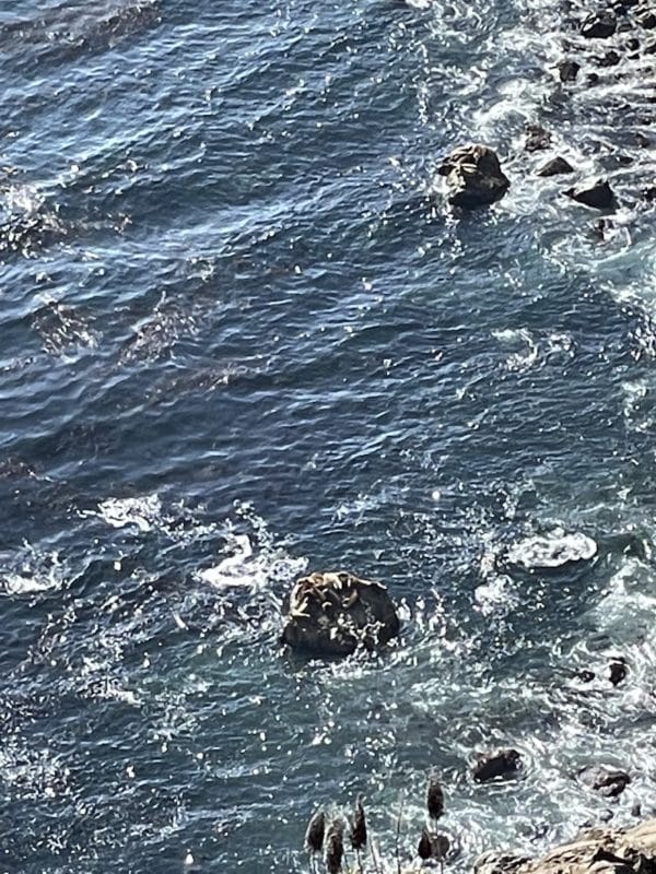 A zoomed in phone photo looking over Seal Beach Scenic Overlook on a Big Sur road trip! 