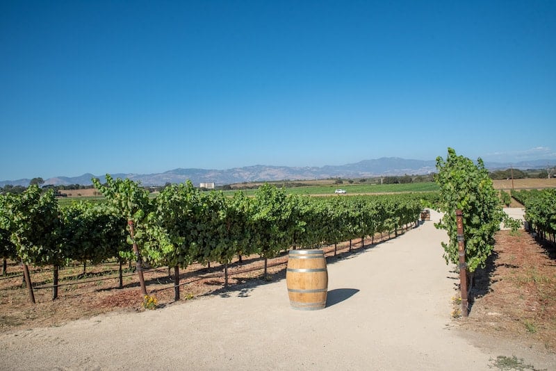 Add local wineries to your Solvang itinerary