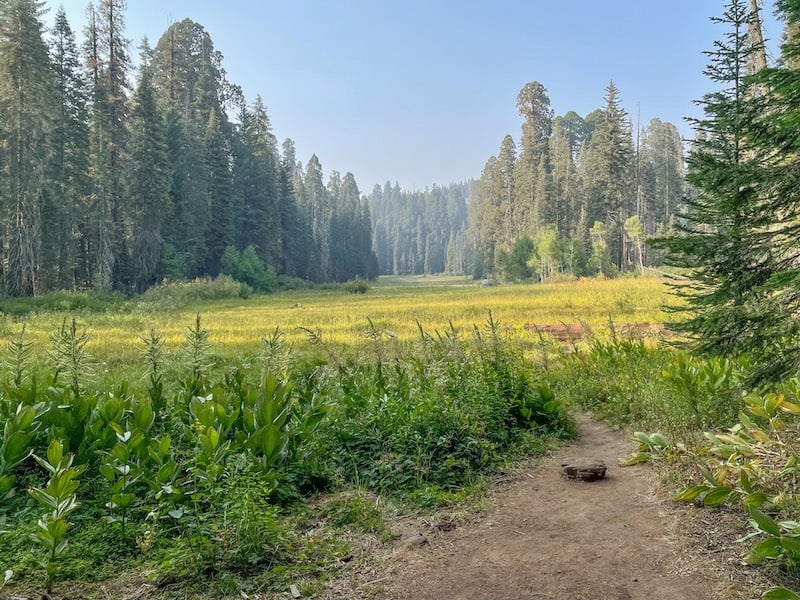 Hiking in Sequoia National Park on a California road trip itinerary