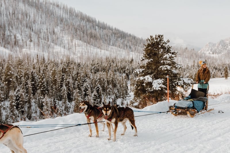 woman dogsledding in Jackson Hole during USA solo travel